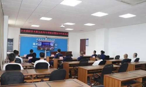 消防技術服務機構(gòu)因違規(guī)執(zhí)業(yè)被依法處罰