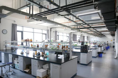 小天使集團 以創(chuàng)新科技引領健康與美的未來