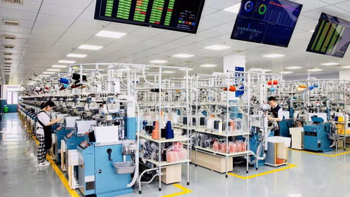 數字技術賦能智慧時尚 浙江諸暨以科技驅動產業高質量發展，助力構建雙循環新格局